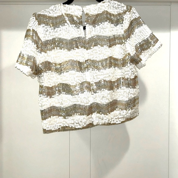 ✨ Cropped Sequin Top - Picture 2 of 11